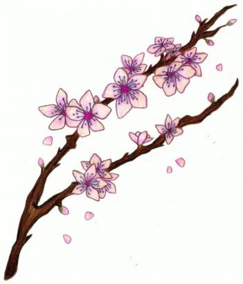 Cherry Blossom Branch Tattoos